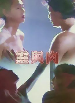 火影宝贝我爱你